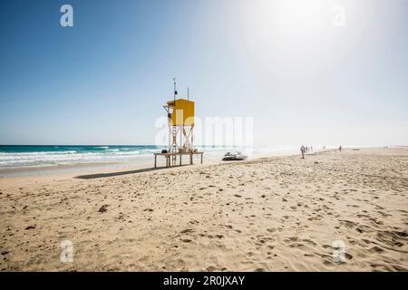 Playa de Sotavento, entre Costa Calma et Jandia, Fuerteventura, Îles Canaries, Espagne Banque D'Images