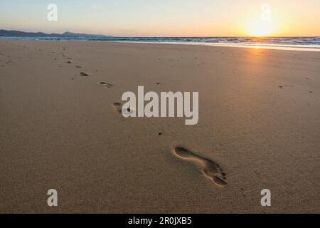 Playa de Sotavento, entre Costa Calma et Jandia, Fuerteventura, Îles Canaries, Espagne Banque D'Images