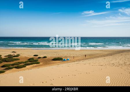 Playa de Sotavento, entre Costa Calma et Jandia, Fuerteventura, Îles Canaries, Espagne Banque D'Images