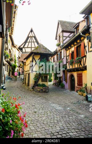 Allée avec maisons et fleurs à colombages colorées, Eguisheim, Alsace, France Banque D'Images