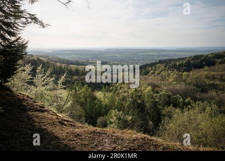 Paysage environnant au toboggan Moessingen, Mössingen, quartier de Tuebingen, Swabian Alb, Bade-Wurtemberg, Allemagne Banque D'Images