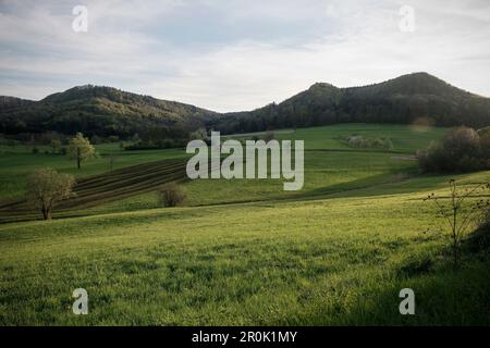 Paysage environnant au toboggan Moessingen, Mössingen, quartier de Tuebingen, Swabian Alb, Bade-Wurtemberg, Allemagne Banque D'Images