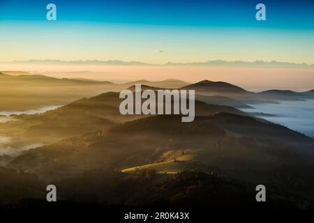 Vue du sud de Belchen sur la vallée du Wiesental et les Alpes suisses, atmosphère matinale avec brouillard, automne, Forêt Noire, Bade-Wurtemberg, Allemagne Banque D'Images