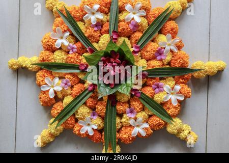 Belle décoration de sol en rangoli de fleurs. Arrière-plan de la décoration de disposition de fleur Banque D'Images