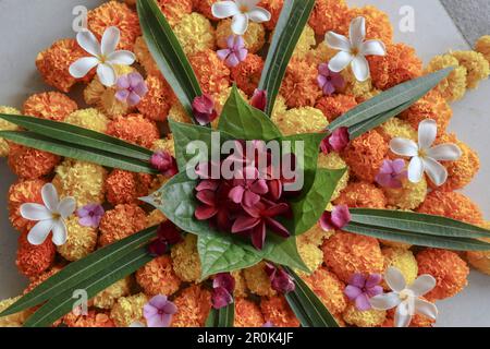 Belle décoration de sol en rangoli de fleurs. Arrière-plan de la décoration de disposition de fleur Banque D'Images