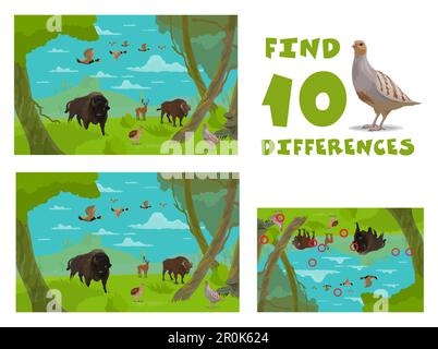 Trouvez dix différences. Dessins animés animaux sauvages. Jeu d'enfants correspondant, vecteur de recherche de différence casse-tête d'enfants ou objets comparant les enfants quiz avec canard et Illustration de Vecteur