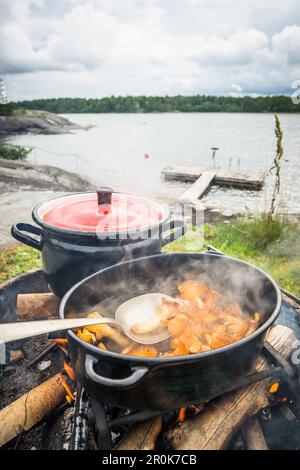 Les chanterelles fraîches sont rôties dans une casserole sur un feu de camp avec baie et pont de bateau derrière, Anskarsklubb, Oregrund, Uppsala, Suède Banque D'Images