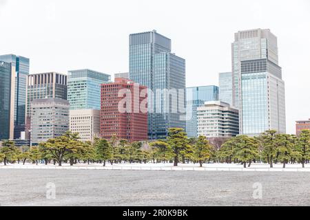 La neige et les arbres de pins avec des gratte-ciel autour de Palais Impérial, Chiyoda-ku, Tokyo, Japon Banque D'Images