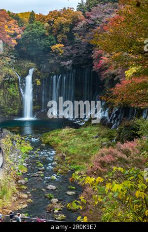 Cascades de Shiraito en automne, Fujinomiya, préfecture de Shizuoka, Japon Banque D'Images