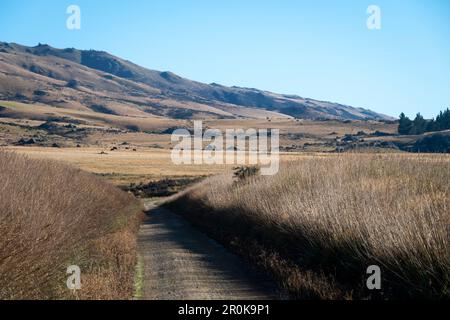 Chemin de fer Central Otago, près de Middlemarch, Otago, Île du Sud, Nouvelle-Zélande. Plage de roches et de piliers à distance Banque D'Images