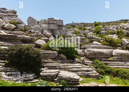 El Torcal, El Torcal de Antequera, parc naturel, paysage karstique, érosion, près d'Antequera, Province de Malaga, Andalousie, Espagne Banque D'Images