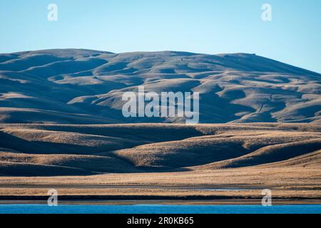 Collines couvertes de tussock, lac Onslow, près de Roxburgh, Otago, South Island, Nouvelle-Zélande Banque D'Images