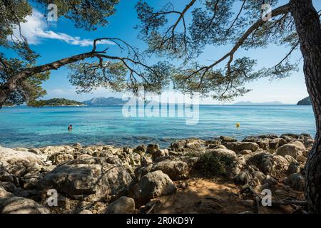 Playa de Formentor, Cap Formentor, Port de Pollença, Serra de Tramuntana, à Majorque, Îles Baléares, Espagne Banque D'Images