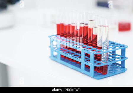 Les échantillons sont dans. Gros plan d'un plateau avec tubes à essai remplis de sang sur un comptoir à l'intérieur d'un laboratoire. Banque D'Images