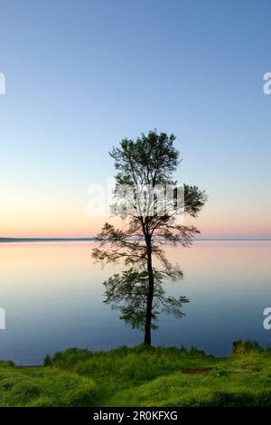 L'humeur du matin au lac Mueritz, Mueritz-Elde-Wasserstrasse, Palatinat, Bade-Wurtemberg, Allemagne Banque D'Images