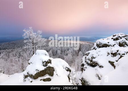 Vue de Feldstein rock, rock formation "Bruchhauser Steine", près de Olsberg, sentier de randonnée Rothaarsteig, Rothaargebirge, région du Sauerland, North Rhine- Banque D'Images