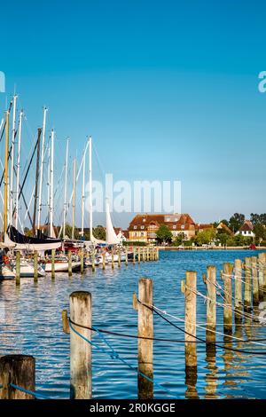 Marina en Arnis, fjord Schlei, côte de la mer Baltique, Schleswig-Holstein, Allemagne Banque D'Images