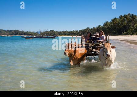 Les touristes se rendent sur une voiturette de boeuf le long de la plage au village de Maung Shwe Lay, près de Ngapali, Thandwe, Myanmar Banque D'Images