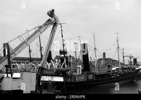 Fischkutter im Fischereihafen Cuxhaven, die alte Netzhalle im hintergrund, 1960. Coupe-pêche dans le port de pêche de Cuxhaven, l'ancien filet hall en arrière-plan, 1960. Banque D'Images