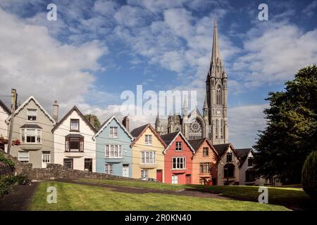 Cathédrale de Cobh, Deck of Cards maisons (maisons colorées et escarpées à West View Street), Cobh, Comté de Cork, Irlande, Europe Banque D'Images