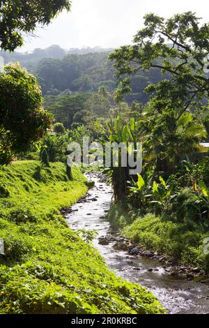 Polynésie française, Tahiti. Sur les montagnes et une rivière dans le village de Vairao situé le long de la côte sud de Tahiti. Banque D'Images