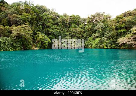 La JAMAÏQUE, Port Antonio. Le Lagon Bleu. Banque D'Images