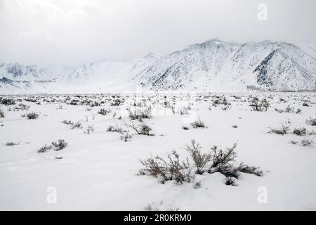 USA, Californie, Mammoth, une vue sur les montagnes fraîchement couvertes de neige le long de I395 entre Bishop et Mammoth Banque D'Images