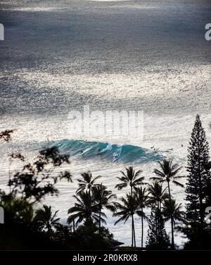 HAWAII, Oahu, Côte-Nord, les surfers dans l'eau à Waimea Bay Banque D'Images