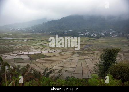INDONÉSIE, Flores, paysage des champs de riz Lingko ou Spider Web à Cancar Banque D'Images