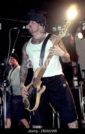 Milan Italie 1997-03-17 : bassiste Evan Seinfeld de Biohazard lors d'un concert au Rainbow club Banque D'Images