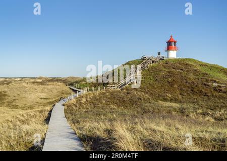 Phare dans les dunes de l'île de Frise du Nord Amrum, Norddorf, Mer du Nord, Schleswig-Holstein, Allemagne du Nord, Allemagne, Europe Banque D'Images