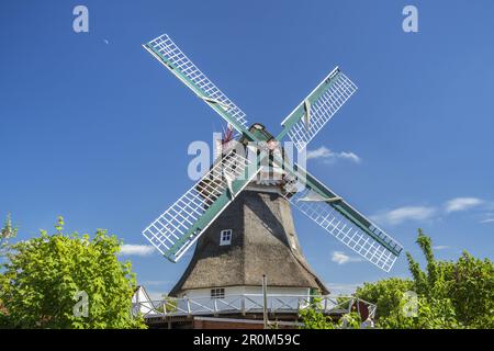 Moulin sur l'île de Frise orientale Norderney, Mer du Nord, Basse-Saxe, Allemagne du Nord, Allemagne, Europe Banque D'Images