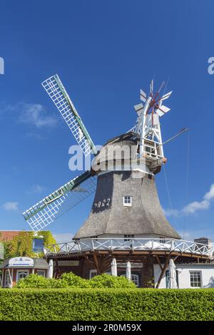 Moulin sur l'île de Frise orientale Norderney, Mer du Nord, Basse-Saxe, Allemagne du Nord, Allemagne, Europe Banque D'Images