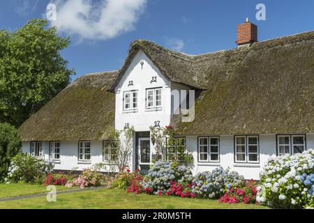 Maison de chaume dans Westerland, Ile de Frise du Nord Sylt, côte de la Mer du Nord, Schleswig-Holstein, Allemagne du Nord, Allemagne, Europe Banque D'Images