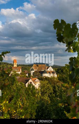 Château Blumenfeld, Tengen, Constance, comté de Hegau, Bade-Wurtemberg, Allemagne Banque D'Images