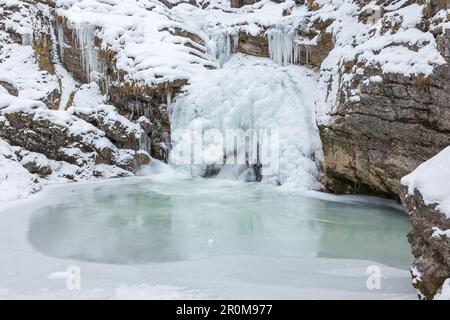 Cascades d'évasion de vache à Farchant, Werdenfelser Land, haute-Bavière, Bavière Banque D'Images