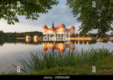 Château baroque de Moritzburg au soleil du soir avec son reflet dans l'étang du château entouré de châtaigniers et de roseaux, près de Dresde, Saxe, Allemagne Banque D'Images