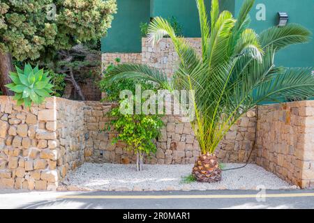 Détails de la conception de l'aménagement paysager de jardinage moderne. Vert vivace fleurs, plantes, arbres près de maison moderne de construction d'appartement dans la journée ensoleillée à l'extérieur Banque D'Images