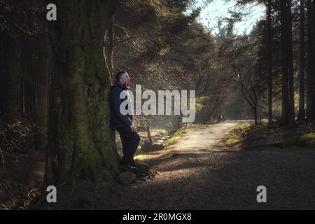 Un homme qui se repose contre un arbre dans les bois, la lumière du soleil brille sur le chemin. Beecraigs Country Park, West Lothian, Écosse Banque D'Images