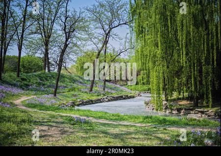 Un sentier pittoresque mène sur une colline, bordée d'arbres luxuriants et de fleurs vibrantes Banque D'Images