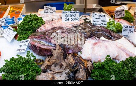 Vues sur Londres - Un Monkfish Shetland exposé dans la stalle des pêcheurs de Borough Market Banque D'Images