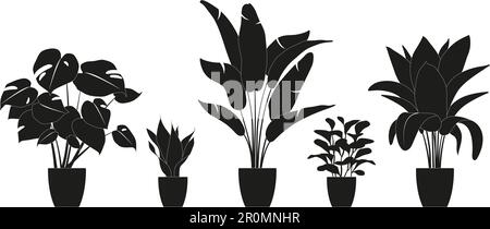 Collection silhouettes de plantes de maison de couleur noire. Plantes en pot isolées sur blanc. Plantes tropicales vertes. Décoration tendance. Illustration de Vecteur