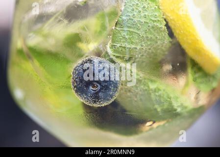 un bel bicchiere di cocktail con limone foglie di menta e mirtilli Banque D'Images