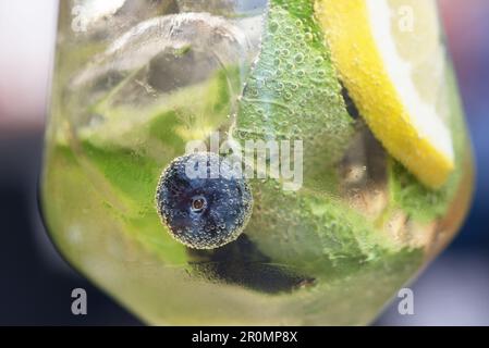 un bel bicchiere di cocktail con limone foglie di menta e mirtilli Banque D'Images