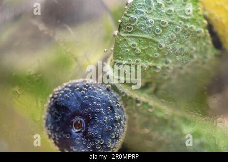 un bel bicchiere di cocktail con limone foglie di menta e mirtilli Banque D'Images