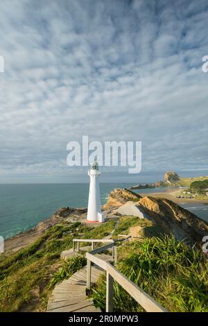 Phare De Castle Point, Wellington, Île Du Nord, Nouvelle-Zélande, Océanie Banque D'Images