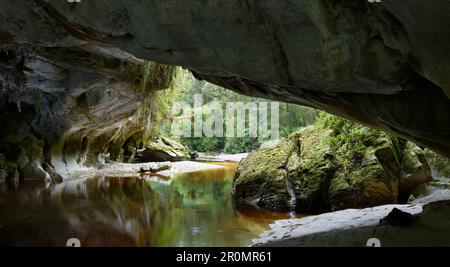 Arche De La Porte De Moria, Bassin D'Oparara, Parc National De Kahurangi, Côte Ouest, Île Du Sud, Nouvelle-Zélande, Océanie Banque D'Images