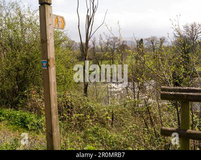 Panneau en bois indiquant le chemin public vers la rivière Usk depuis le chemin de halage le long du Monbucshire et du canal de Brecon Powys Mid Wales UK Banque D'Images