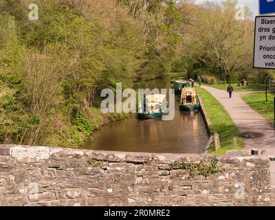 barque vert et crème voyageant le long du canal Monbucshire et Brecon et deux barques étroites amarrées ayant traversé l'écluse de Brynich Powys Mid Wal Banque D'Images