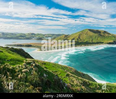 Allans Beach De La Réserve De Loisirs De Sandymount, Otago, Île Du Sud, Nouvelle-Zélande, Océanie Banque D'Images